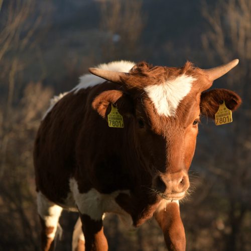 2026-03-12 17-24-02 (2)