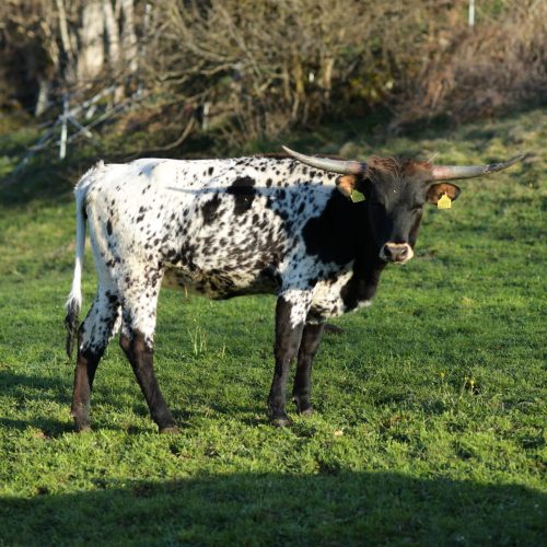 2026-04-09 07-00-58.JPG2